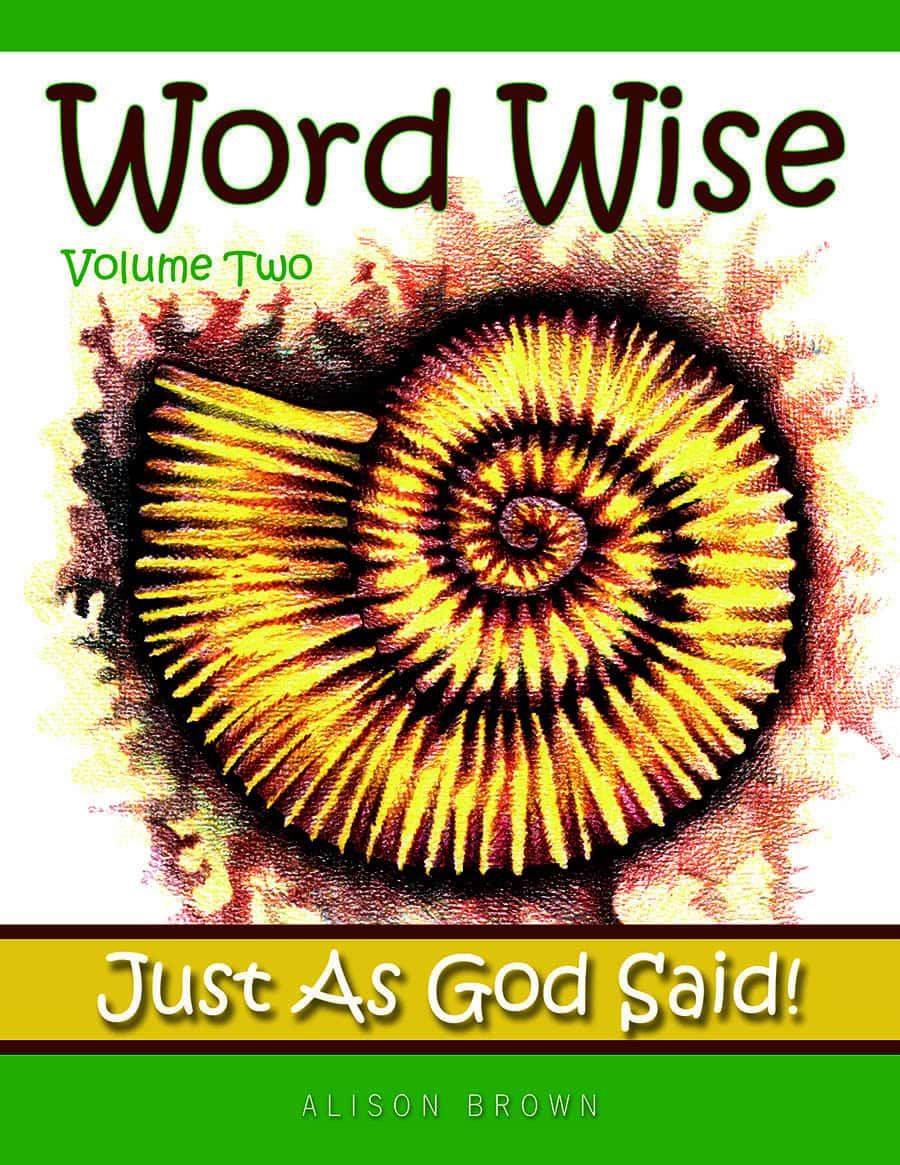 Word Wise