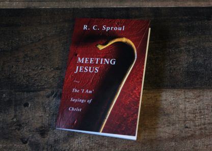 image of the book 'Meeting Jesus'