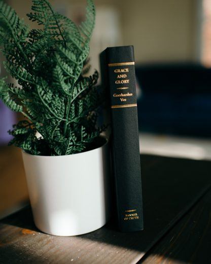 image of Grace and Glory by Geerhardus Vos