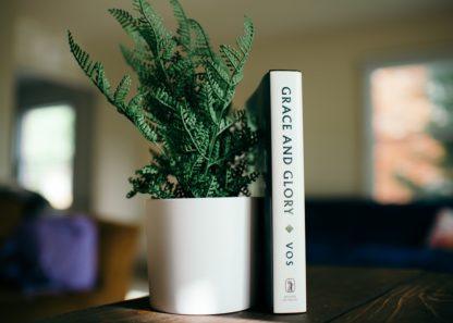 image of Grace and Glory by Geerhardus Vos