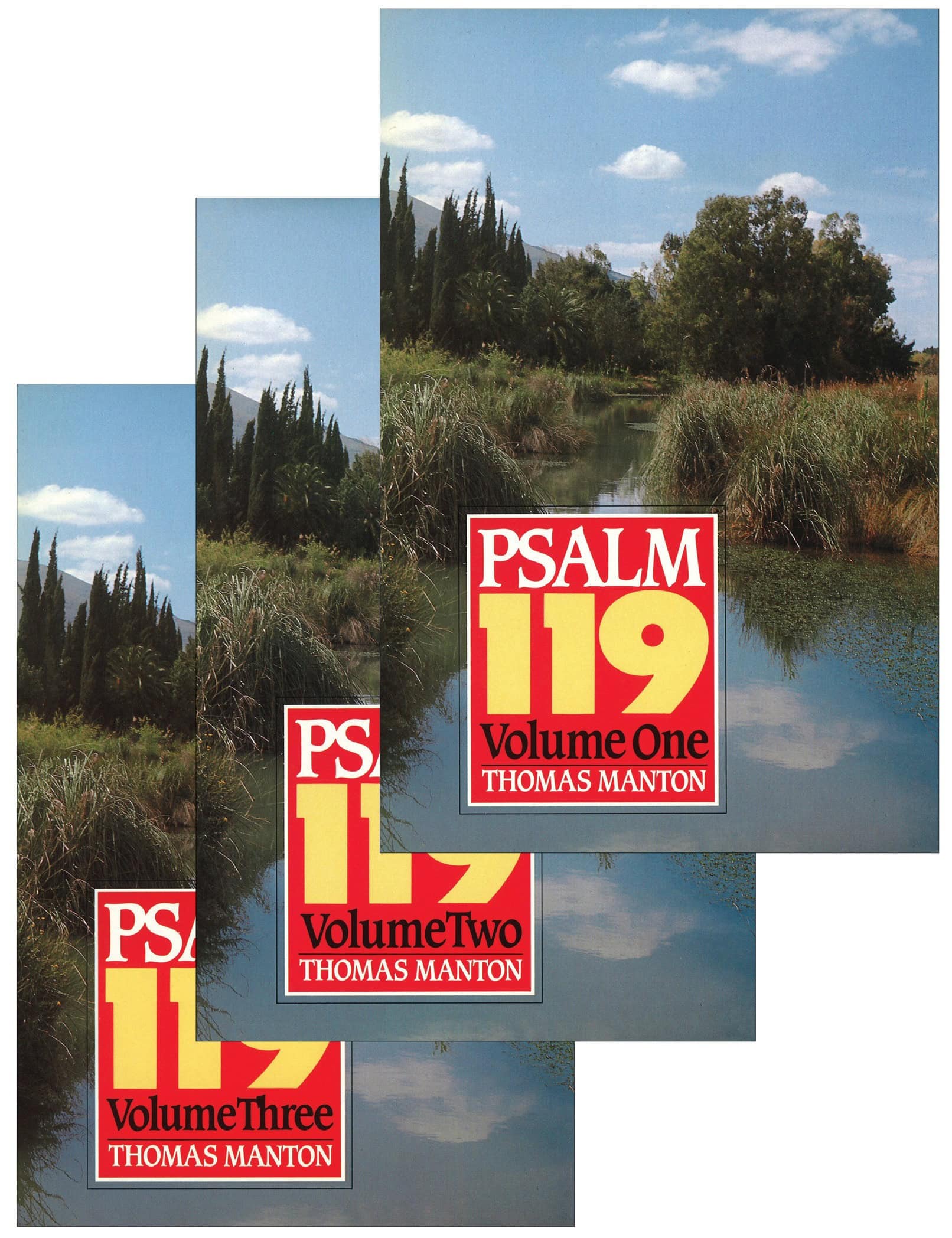 Psalm 119
