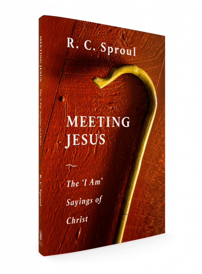 3D image of Meeting Jesus by R.C. Sproul