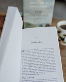 The Christian Life by Sinclair Ferguson