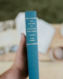 The History of Christian Doctrines by Louis Berkhof