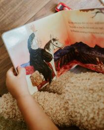 The Man Who Preached Outside (board book) by Rebecca VanDoodewaard