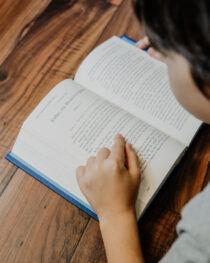 The Child's Story Bible by Catherine Vos