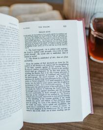 Psalms Geneva Commentary by David Dickson