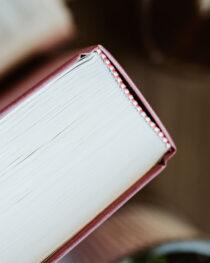 Psalms Geneva Commentary by David Dickson