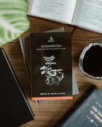 Regeneration Mini-Guide by David McWilliams