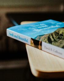 Swift and Beautiful by David B. Calhoun