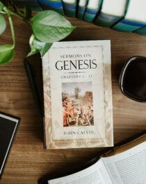 Sermons on Genesis 1–11 by John Calvin