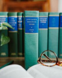 Sermons on Genesis 1–11 by John Calvin