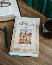 Sermons on Genesis 1–11 by John Calvin