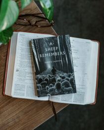 A Sheep Remembers by David Calhoun