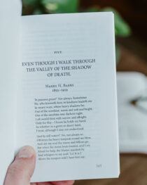 A Sheep Remembers by David Calhoun