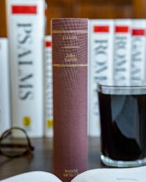 Daniel Commentary by John Calvin