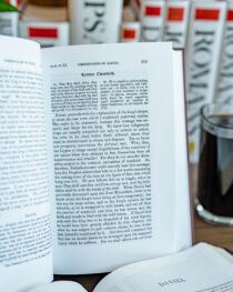 Daniel Commentary by John Calvin