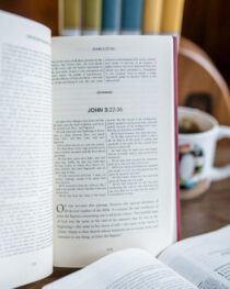 Expository Thoughts on John, Vol. 1 by J. C. Ryle