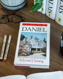 Daniel Commentary by Edward J Young