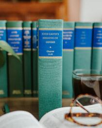 Sermons on Genesis 11-20 by John Calvin