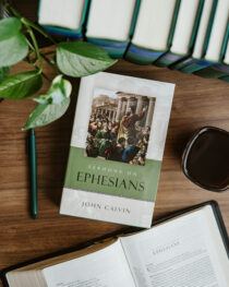 Sermons on Ephesians by John Calvin
