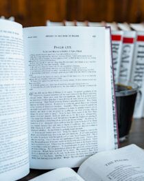 Psalms Commentary by William Plumer