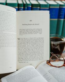 Sermons on 2 Samuel by John Calvin