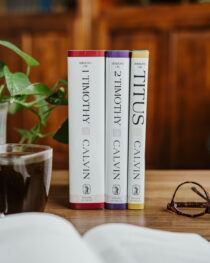 Sermons on the Pastoral Epistles by John Calvin