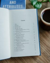 The Identity and Attributes of God by Terry Johnson
